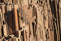 organ pipe rocks in riverbed