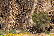 Rock Veins