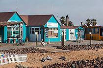 pelicans | waterfront
