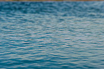 Ripples