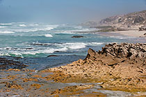 seashore