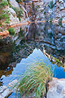 rock pool