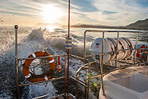 whale watching boat trip