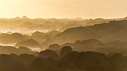 rocky seashore at sunset