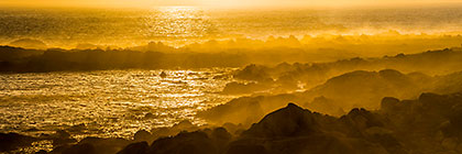 Sea of Gold