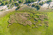 aerial landscape | green grass | woodland | track