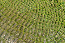 aerial landscape | land texture | fields