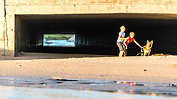 children Enya & James playing with dog Sheba on beach