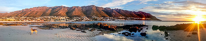 panorama | Sheba on beach at sunset