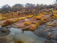stream with pools | rock formation