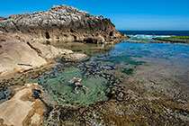 James playing in sea pool