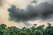 Cloud