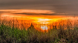 termine hills under mist at sunset