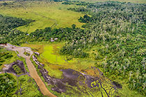 aerial view | forest with savana patches | Lango camp lodge