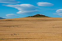UFO Clouds