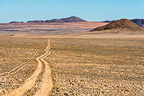 tracks in desert