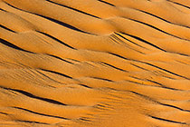 sand dune patterns