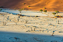 Deadvlei