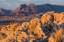 dry grass between rocks | desert plain & mountains at sunset