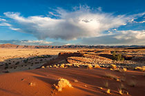 red sand on petrified dunes | lodge | grassy desert plain & mountains at sunset