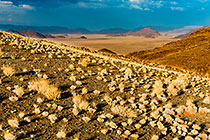 dry grass on moutain slope at sunset
