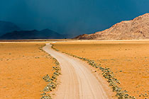 track through Namibrand