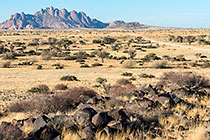 desert plain & moutains at sunset