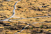 Desert Intersection
