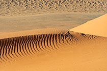 Sand Patterns