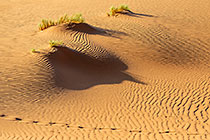 sand dune patterns