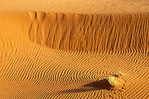 sand dune patterns