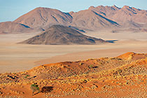 grass on sand dunes & mountains