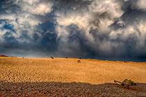 Namibrand Storm