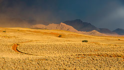 track through grass &  trees on sand dune & mountains under storm at sunset