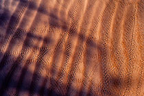 tok-tokkie tracks on sand