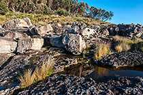 grass & rocks on seashore