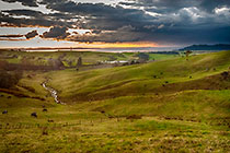 farmland at sunset