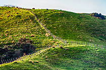 farmland in late afternoon sunshine