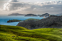 Green Pastures