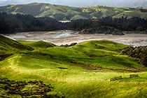 Manaia Farmland