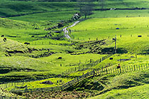 green farmland