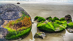 Moeraki
