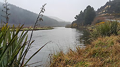 river under rain