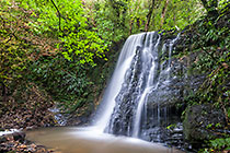 waterfall in forest