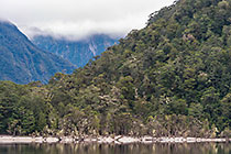 mountains around lake Manapouri