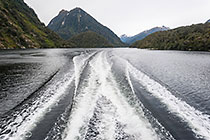 boat waves on Doubtful Sound fjord