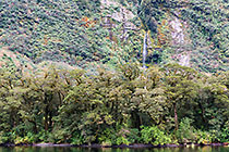 waterfall along Doubtful Sound fjord