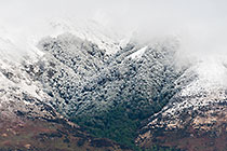 Thompson Mountains