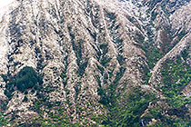 snow on Hawea mountain