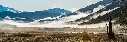 Morning Fog